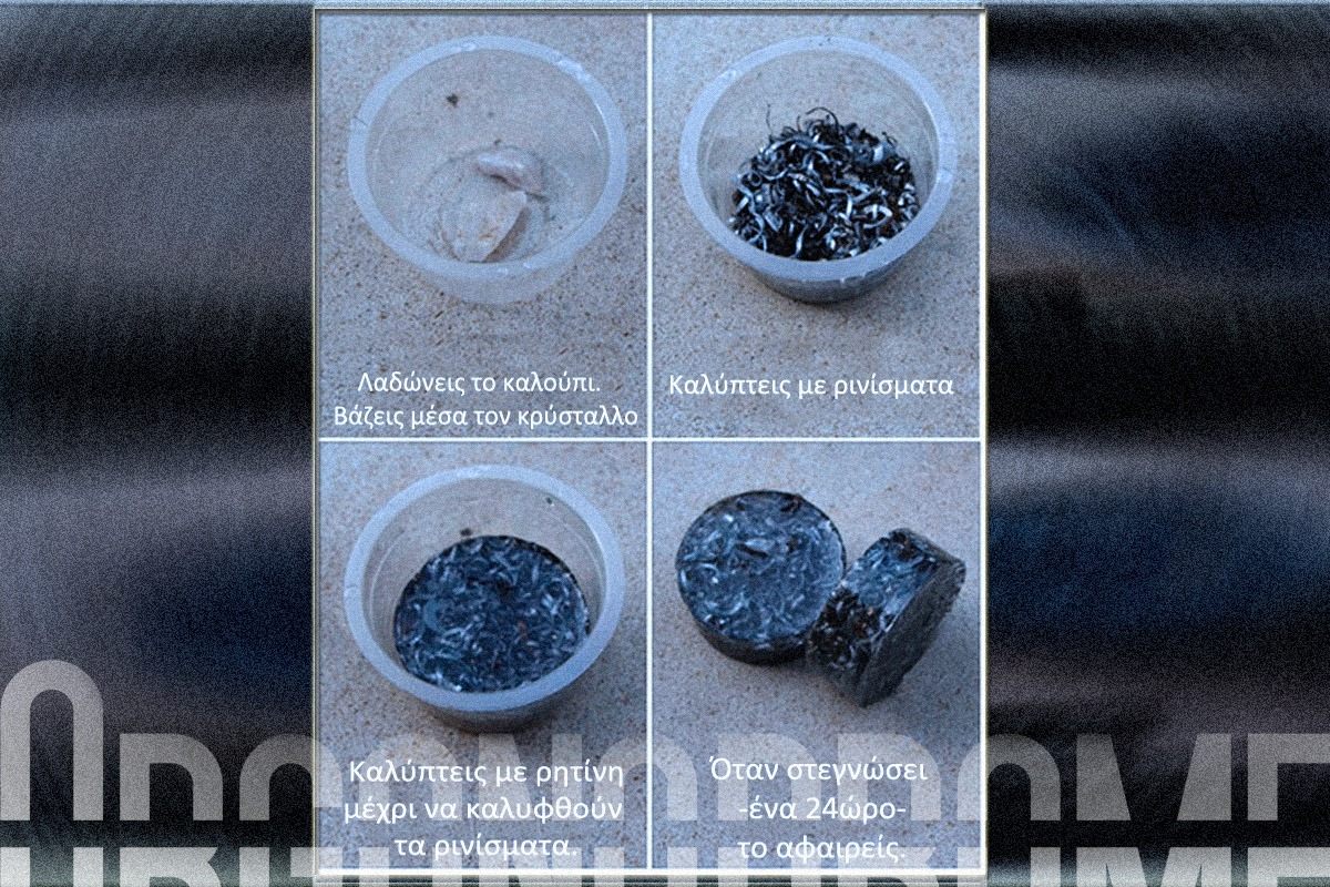 orgonions tb -