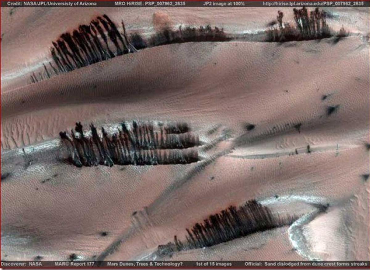 MARS LIFE terrapapers (2)