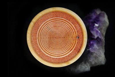 Scalar Bamboo Orgonion