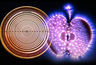 Bamboo MWO SCALAR orgonodrom