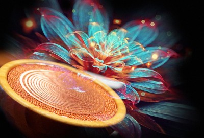 agrifarm_bamboo_mwo SCALAR ORGONITE ORGONION KIRLIAN flowers ion
