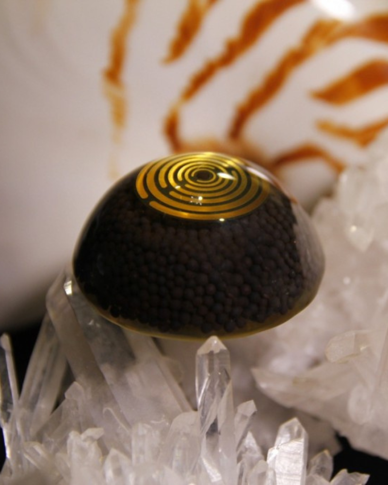 Black Shield - Image 3