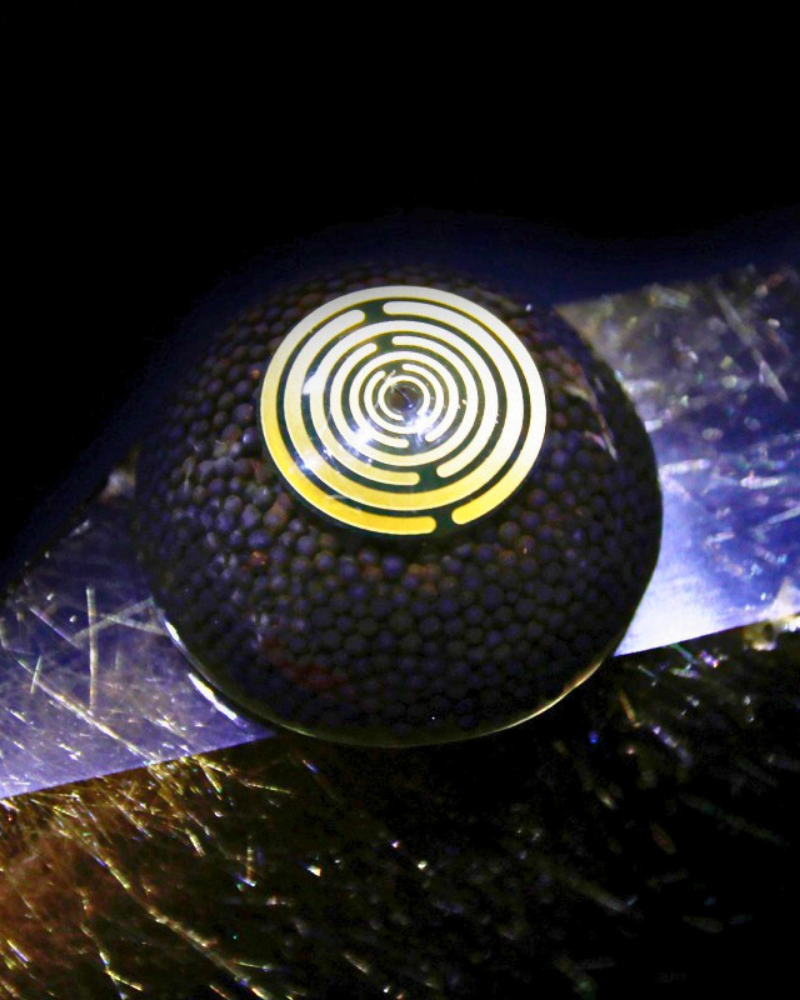 Black Shield - Image 4